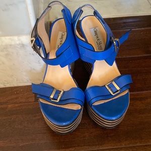 Ciampaolo viozzi platform/Italy